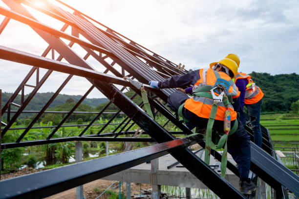 Best Roof Waterproofing Services  in Paia, HI
